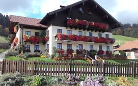 Nussbaumer Am Irrsee