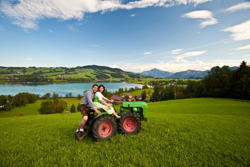 Nussbaumer Am Irrsee Tiefgraben Exteriér fotografie